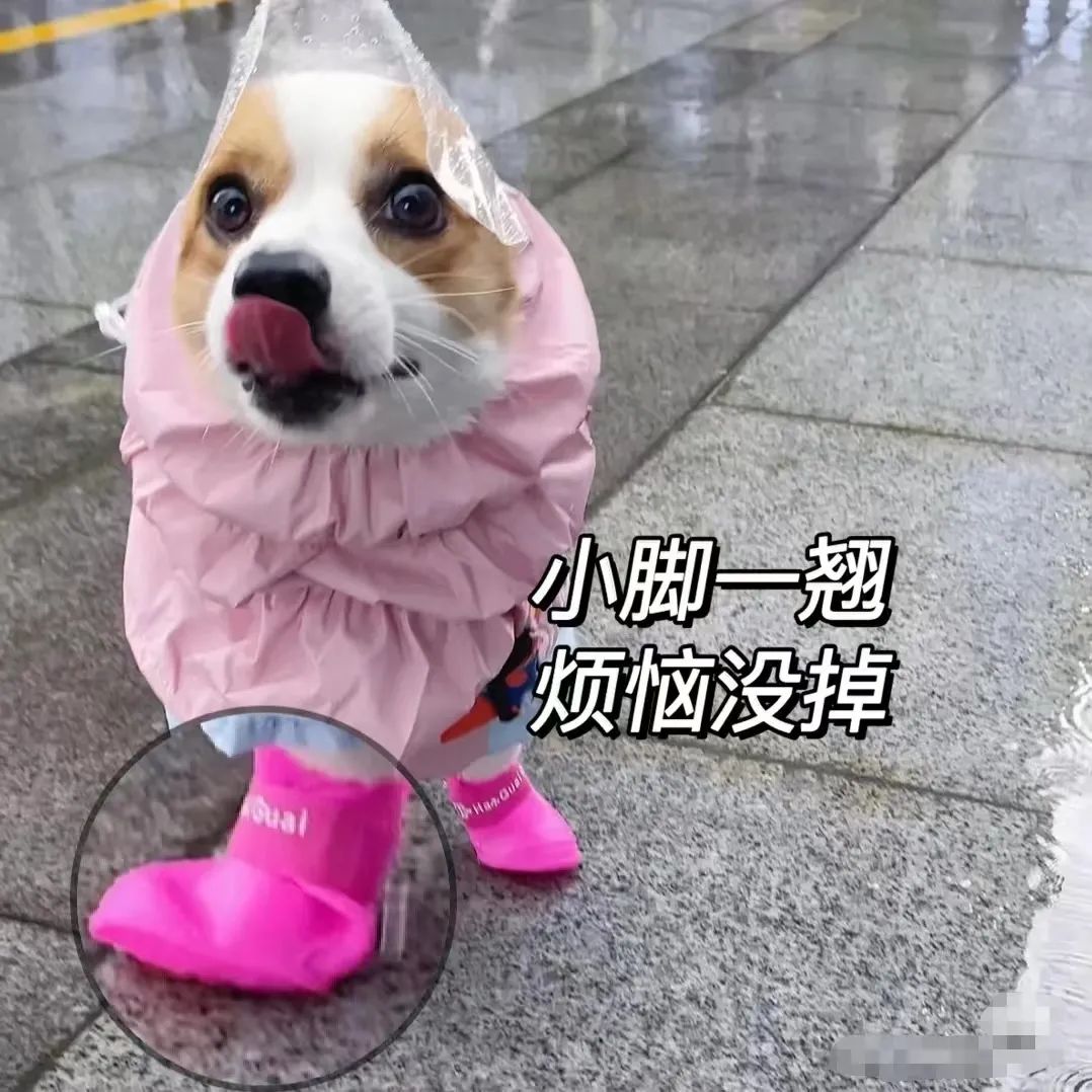 想退休的年輕人都在期待什么？