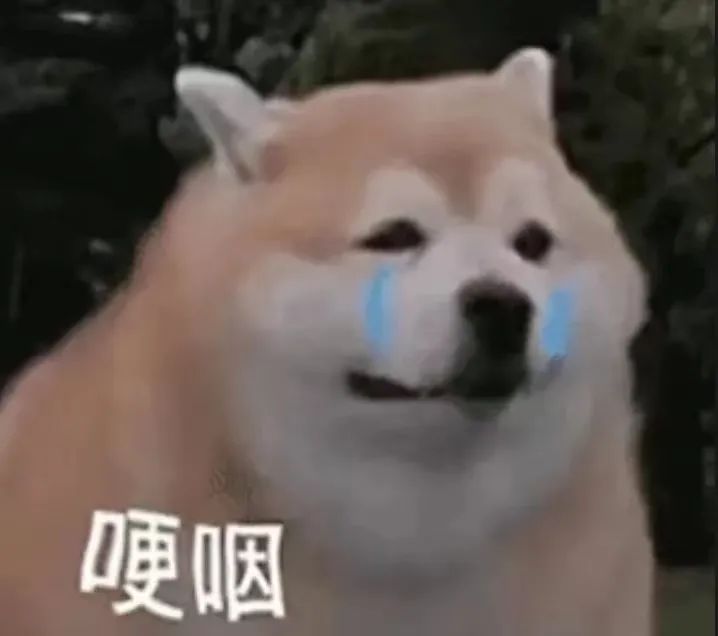 想退休的年輕人都在期待什么？