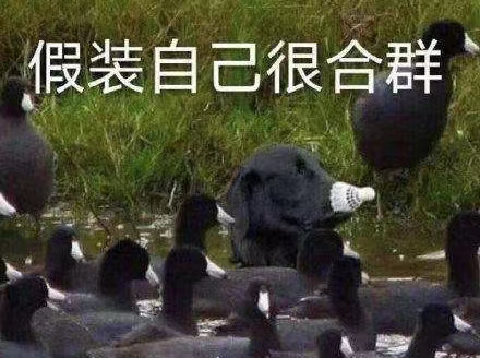 一個人一定要合群嗎？