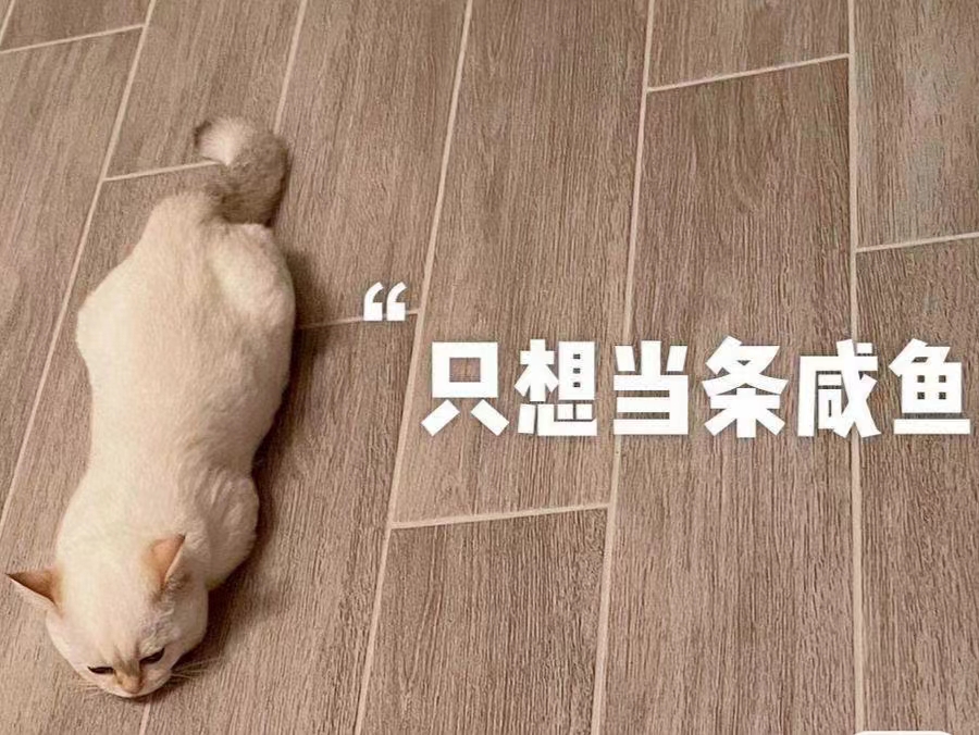 當(dāng)閑魚也是一種夢想嗎？