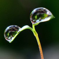 微信頭像反應(yīng)了一個(gè)人對(duì)生活的態(tài)度，你的微信頭像是什么