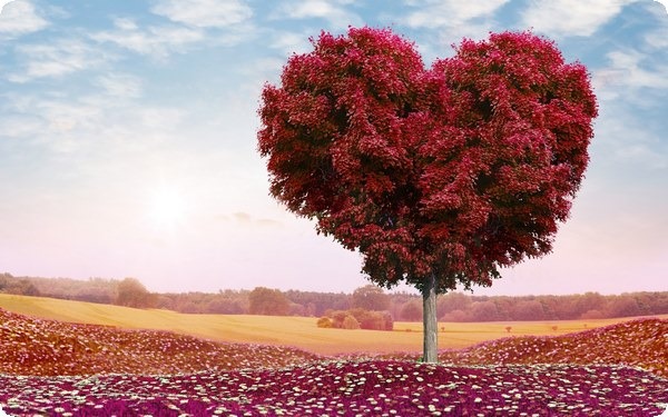 新鮮感過了怎么辦 4個方法為你“保鮮”