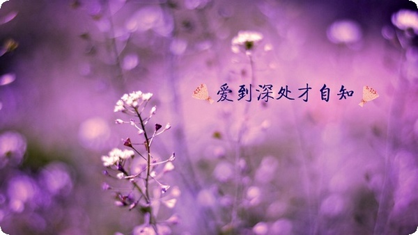 無法滿足父母的索取就是不孝順嗎？如何不被親情綁架