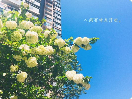 成為心理咨詢師的基本條件是明白心理咨詢本質(zhì)是什么？