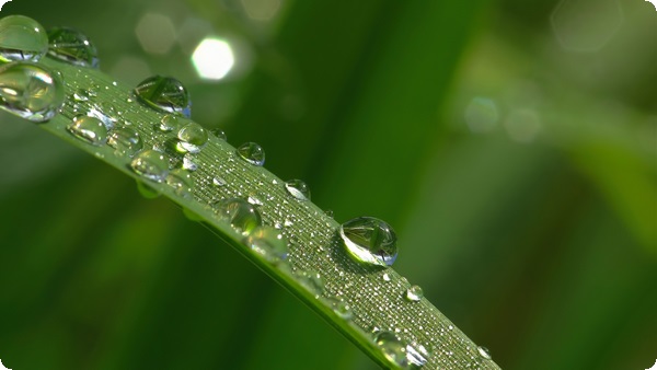心理健康即心理平衡？心理健康與心理平衡的關(guān)系