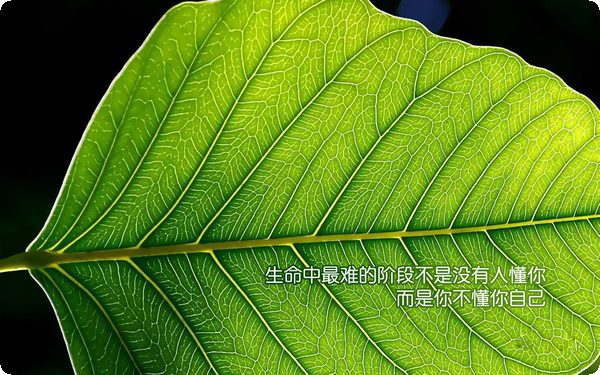 心理咨詢師對于心理咨詢的看法 對咨詢關(guān)系的建立和維護(hù)產(chǎn)生影響
