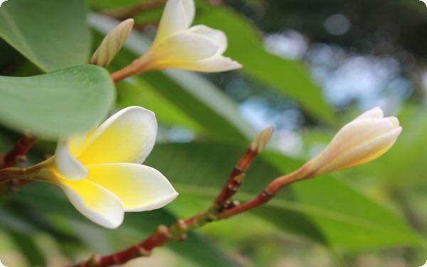 強(qiáng)迫癥意識與潛意識對抗 關(guān)系與區(qū)別