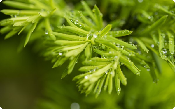 不對等的戀愛關系沒有結(jié)果?否要捅破情感這層窗戶紙？