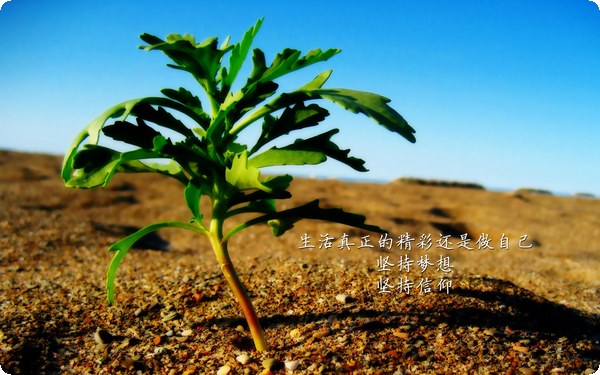 心理幻覺(jué)：自我感覺(jué)良好心理效應(yīng)
