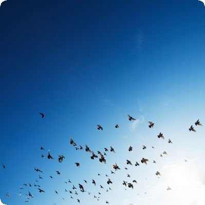 鼓勵強迫癥患者的話(開導強迫癥的話)