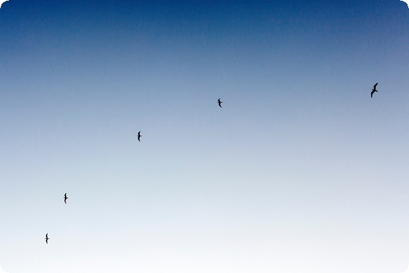 強制思維和強迫思維的區(qū)別(關于強迫觀念與強制思維的臨床意義)