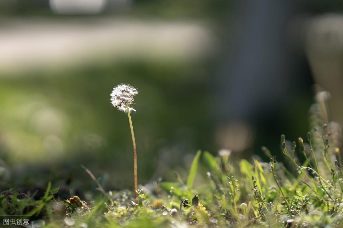 心理抑郁免費(fèi)自測(cè)問(wèn)題