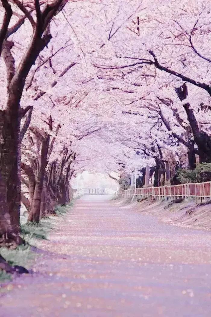 實(shí)用的14條心理規(guī)律大與3大古怪的心理學(xué)效應(yīng) 實(shí)用的14條心理規(guī)律大與3大古怪的心理學(xué)效應(yīng)